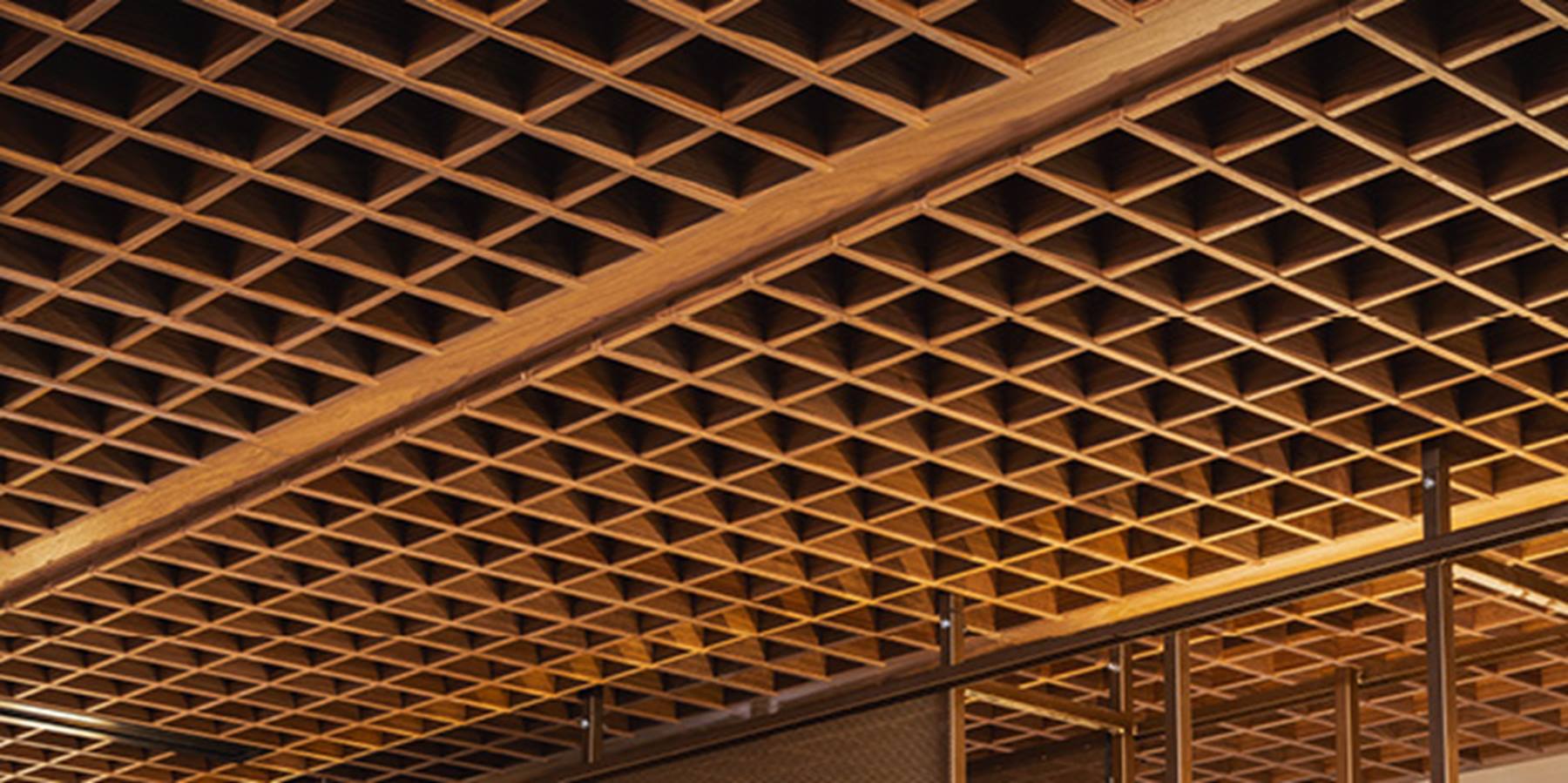 LignaCell ceiling